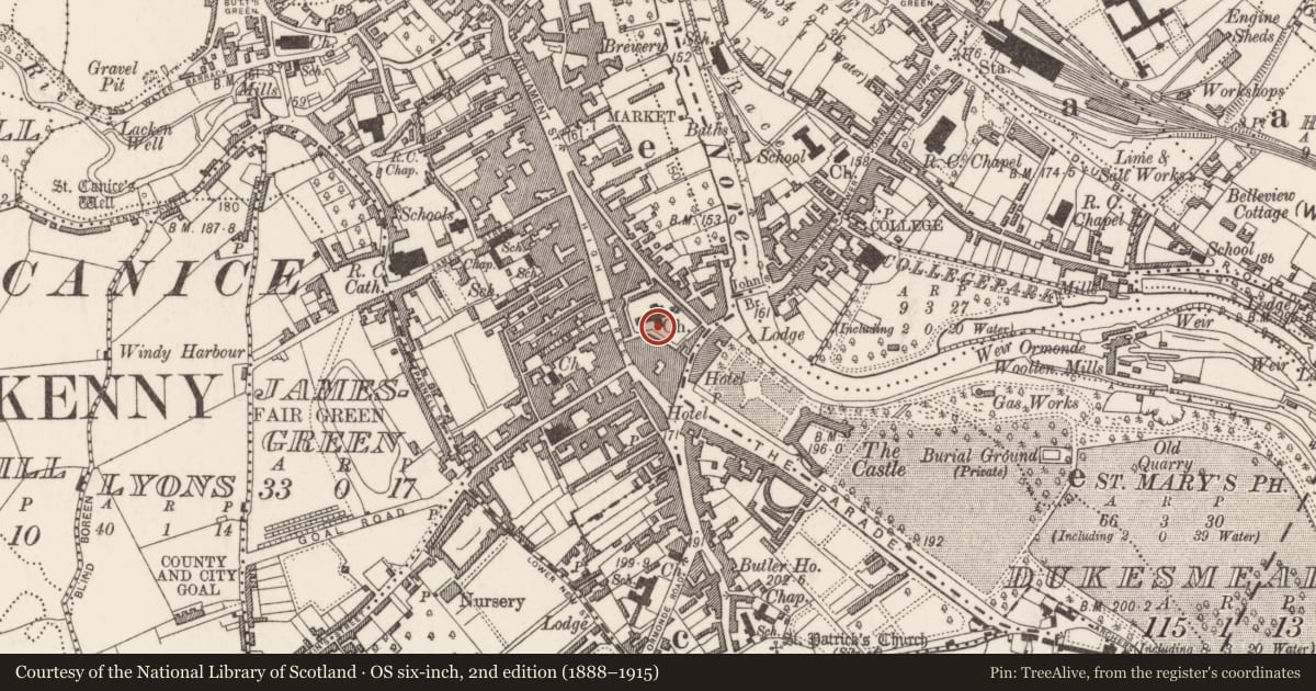 Ordnance Survey six-inch map, 2nd edition (1888–1915) covering the location of Tomb - effigial, Gardens (Kilkenny City By., St. Mary’s Par.), County Kilkenny, with a pin at the register's coordinates