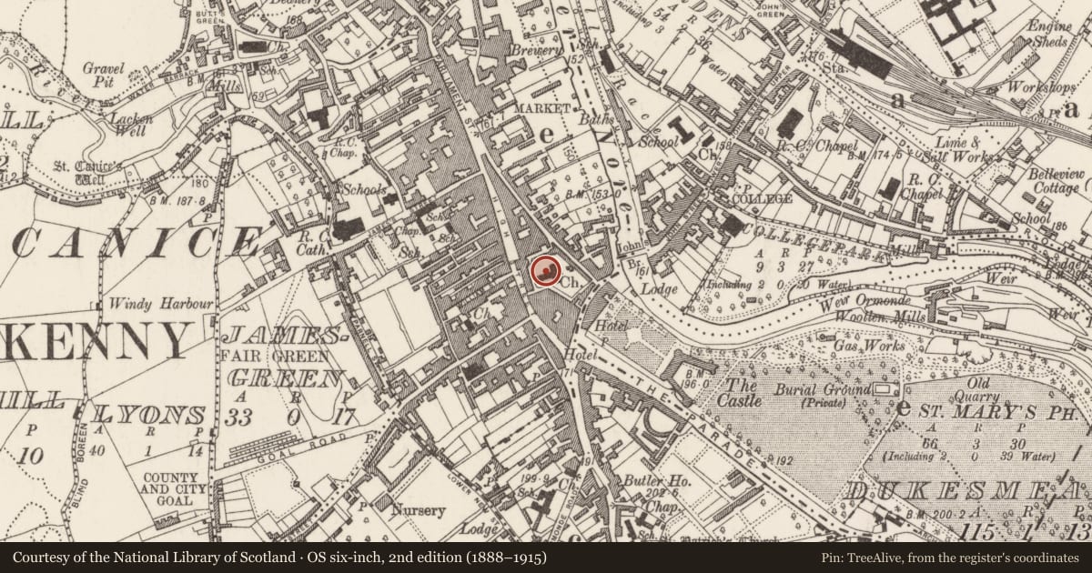 Ordnance Survey six-inch map, 2nd edition (1888–1915) covering the location of Tomb - effigial, Gardens (Kilkenny City By., St. Mary’s Par.), County Kilkenny, with a pin at the register's coordinates