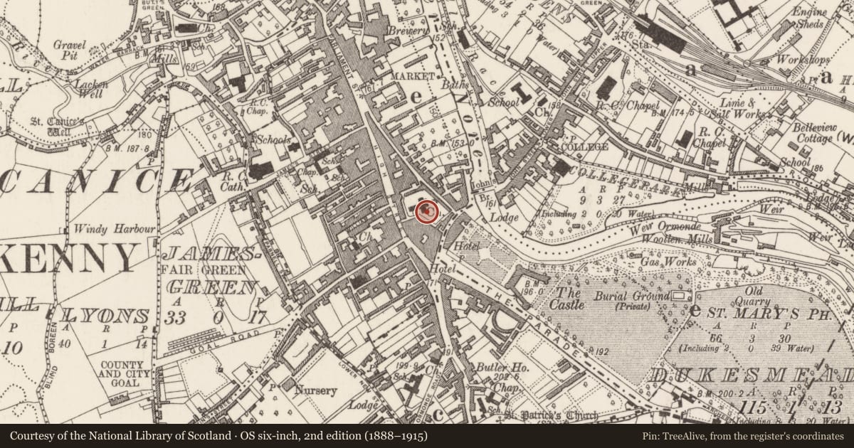 Ordnance Survey six-inch map, 2nd edition (1888–1915) covering the location of Tomb - effigial, Gardens (Kilkenny City By., St. Mary’s Par.), County Kilkenny, with a pin at the register's coordinates