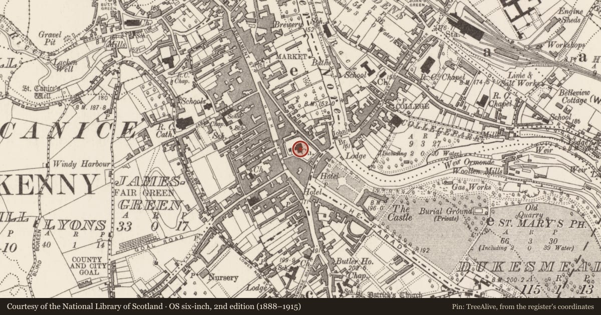 Ordnance Survey six-inch map, 2nd edition (1888–1915) covering the location of Graveslab, Gardens (Kilkenny City By., St. Mary’s Par.), County Kilkenny, with a pin at the register's coordinates