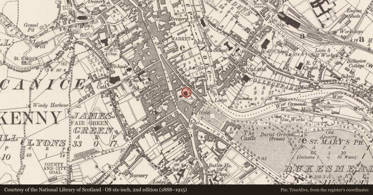 Ordnance Survey six-inch map, 2nd edition (1888–1915) covering the location of Graveslab, Gardens (Kilkenny City By., St. Mary’s Par.), County Kilkenny, with a pin at the register's coordinates