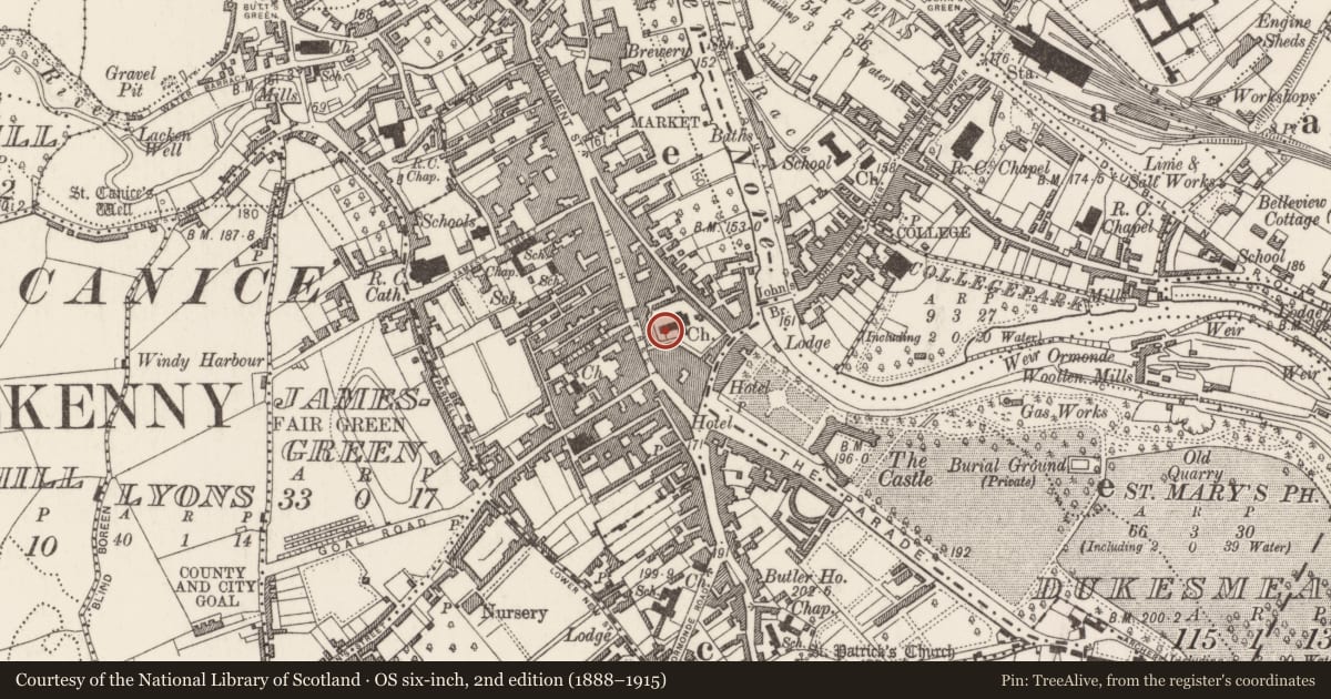 Ordnance Survey six-inch map, 2nd edition (1888–1915) covering the location of Graveslab, Gardens (Kilkenny City By., St. Mary’s Par.), County Kilkenny, with a pin at the register's coordinates