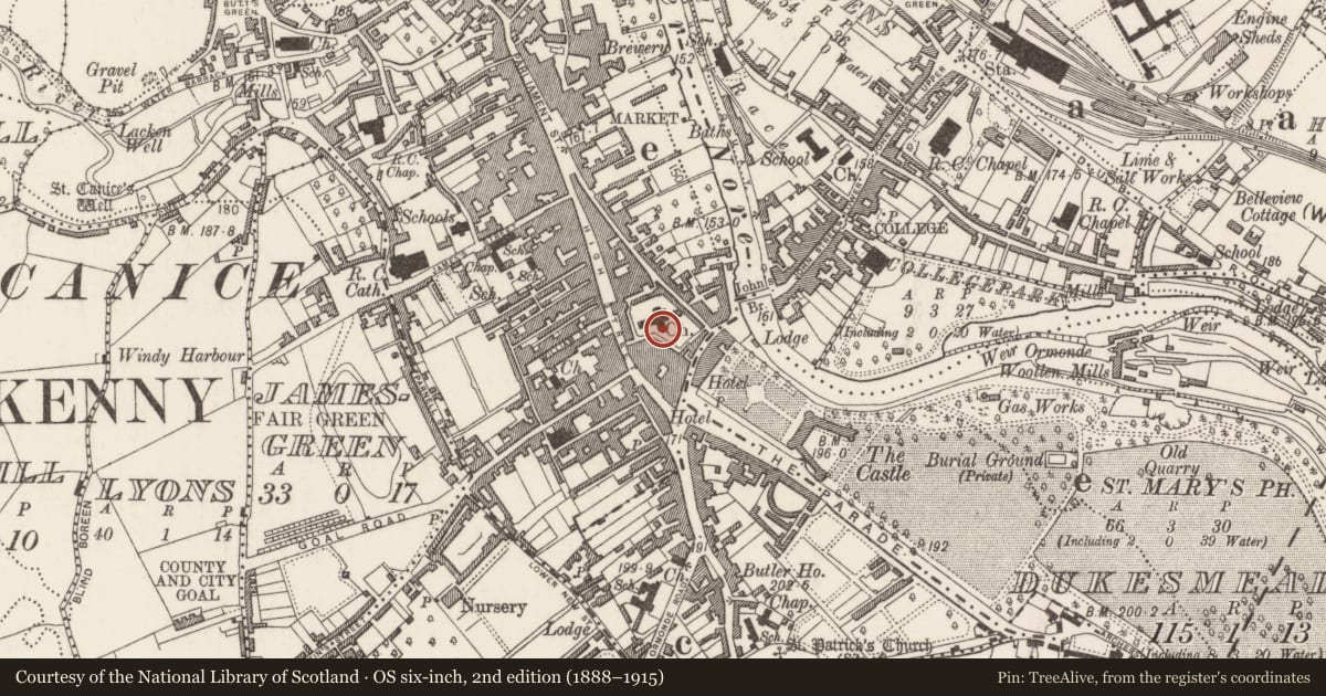 Ordnance Survey six-inch map, 2nd edition (1888–1915) covering the location of Graveslab, Gardens (Kilkenny City By., St. Mary’s Par.), County Kilkenny, with a pin at the register's coordinates