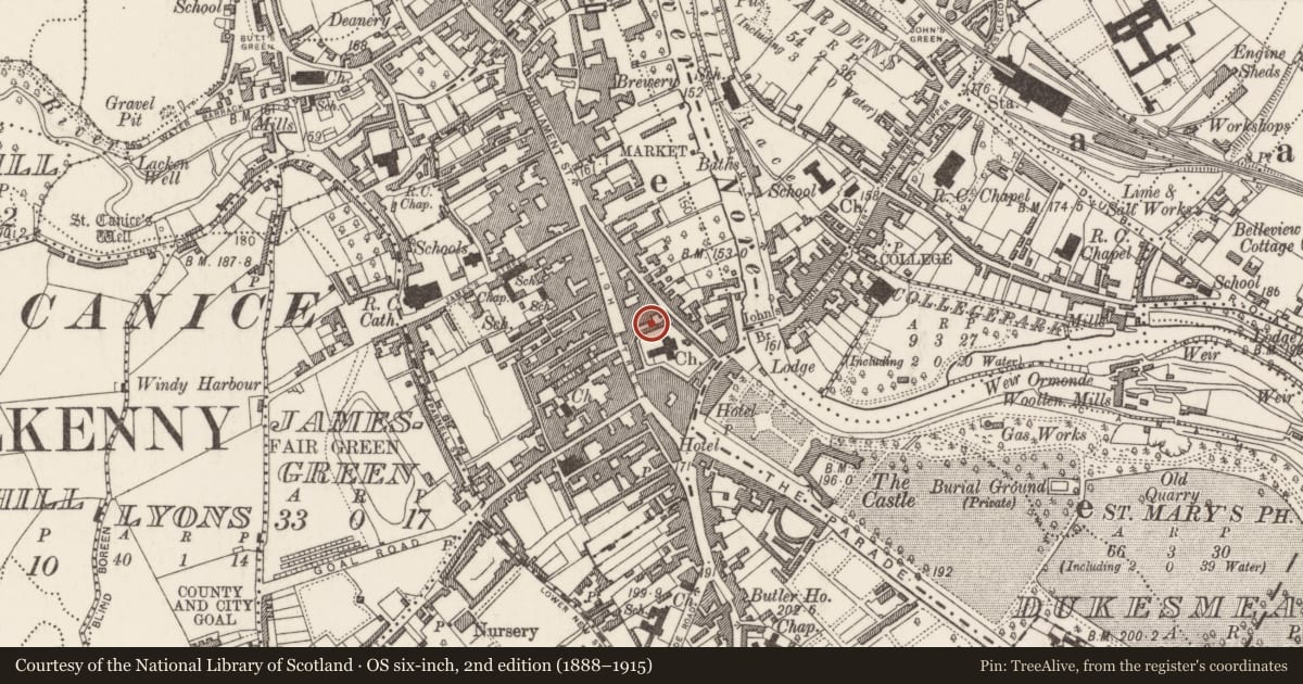 Ordnance Survey six-inch map, 2nd edition (1888–1915) covering the location of Graveslab, Gardens (Kilkenny City By., St. Mary’s Par.), County Kilkenny, with a pin at the register's coordinates