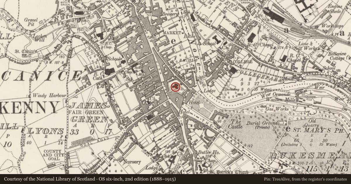 Ordnance Survey six-inch map, 2nd edition (1888–1915) covering the location of Graveslab, Gardens (Kilkenny City By., St. Mary’s Par.), County Kilkenny, with a pin at the register's coordinates