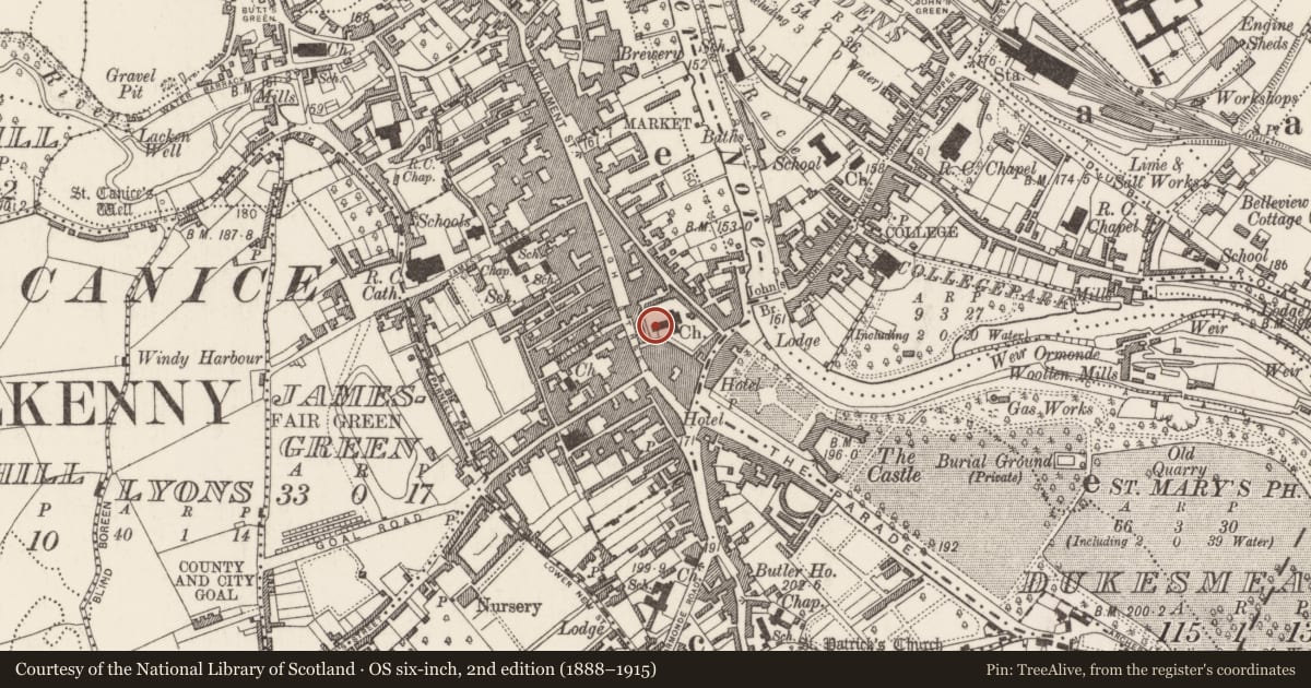 Ordnance Survey six-inch map, 2nd edition (1888–1915) covering the location of Graveslab, Gardens (Kilkenny City By., St. Mary’s Par.), County Kilkenny, with a pin at the register's coordinates