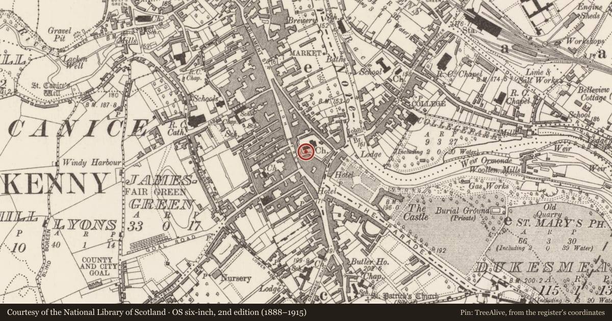 Ordnance Survey six-inch map, 2nd edition (1888–1915) covering the location of Graveslab, Gardens (Kilkenny City By., St. Mary’s Par.), County Kilkenny, with a pin at the register's coordinates