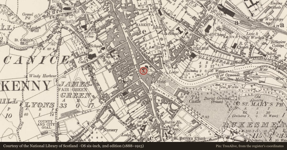 Ordnance Survey six-inch map, 2nd edition (1888–1915) covering the location of Graveslab, Gardens (Kilkenny City By., St. Mary’s Par.), County Kilkenny, with a pin at the register's coordinates