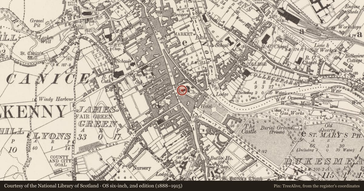 Ordnance Survey six-inch map, 2nd edition (1888–1915) covering the location of Graveslab, Gardens (Kilkenny City By., St. Mary’s Par.), County Kilkenny, with a pin at the register's coordinates
