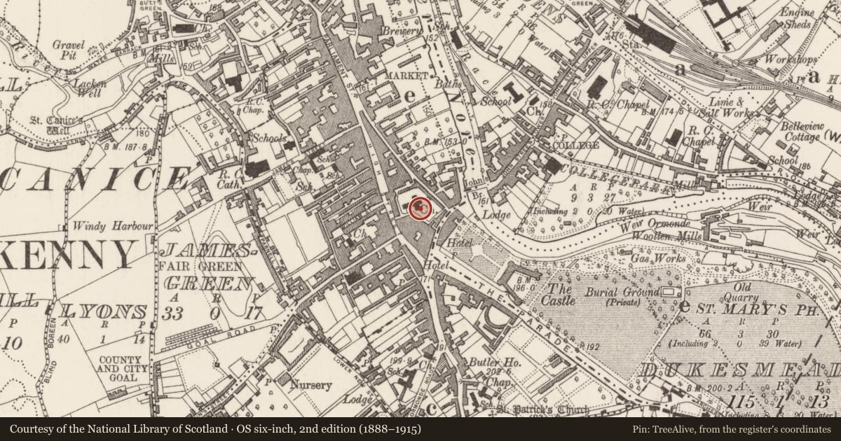 Ordnance Survey six-inch map, 2nd edition (1888–1915) covering the location of Tomb - effigial, Gardens (Kilkenny City By., St. Mary’s Par.), County Kilkenny, with a pin at the register's coordinates
