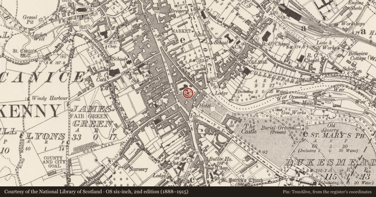 Ordnance Survey six-inch map, 2nd edition (1888–1915) covering the location of Graveslab, Gardens (Kilkenny City By., St. Mary’s Par.), County Kilkenny, with a pin at the register's coordinates