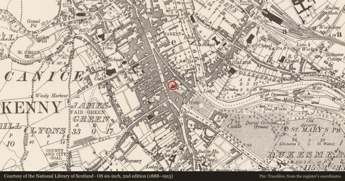 Ordnance Survey six-inch map, 2nd edition (1888–1915) covering the location of Graveslab, Gardens (Kilkenny City By., St. Mary’s Par.), County Kilkenny, with a pin at the register's coordinates