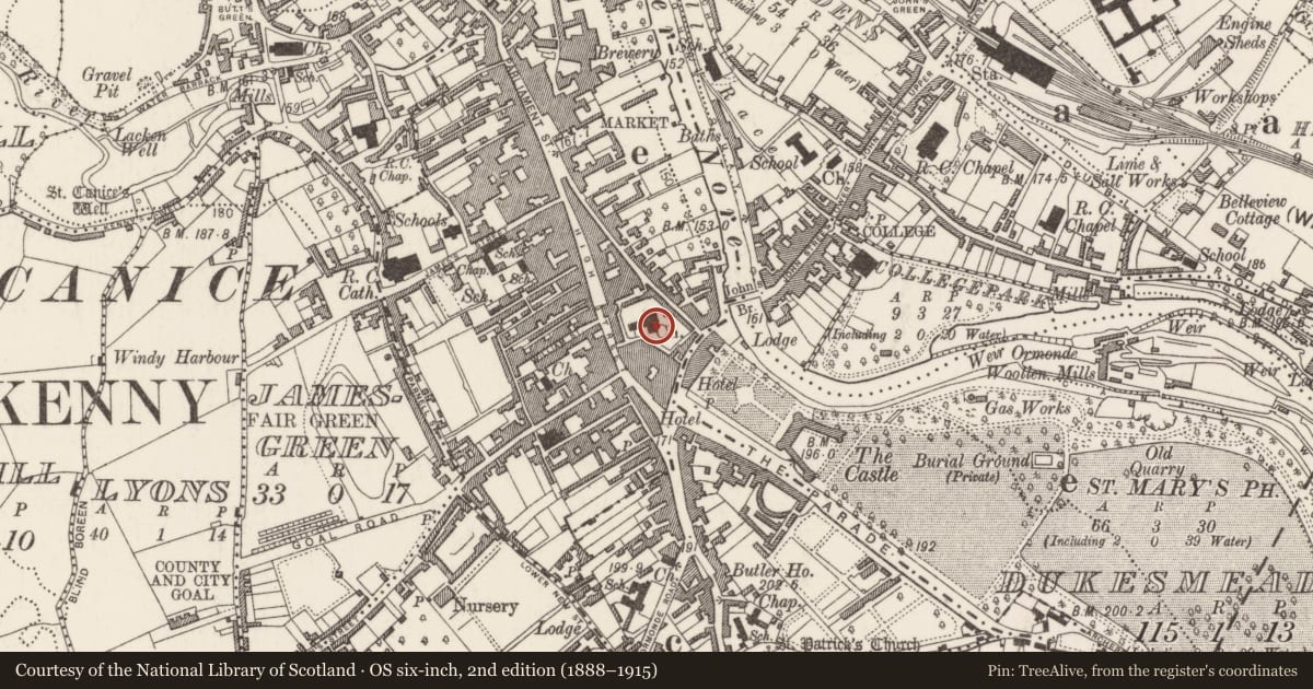 Ordnance Survey six-inch map, 2nd edition (1888–1915) covering the location of Graveslab, Gardens (Kilkenny City By., St. Mary’s Par.), County Kilkenny, with a pin at the register's coordinates