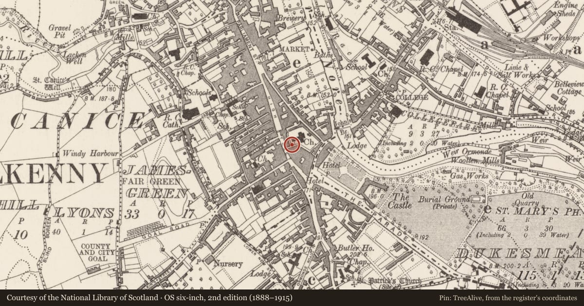 Ordnance Survey six-inch map, 2nd edition (1888–1915) covering the location of Graveslab, Gardens (Kilkenny City By., St. Mary’s Par.), County Kilkenny, with a pin at the register's coordinates