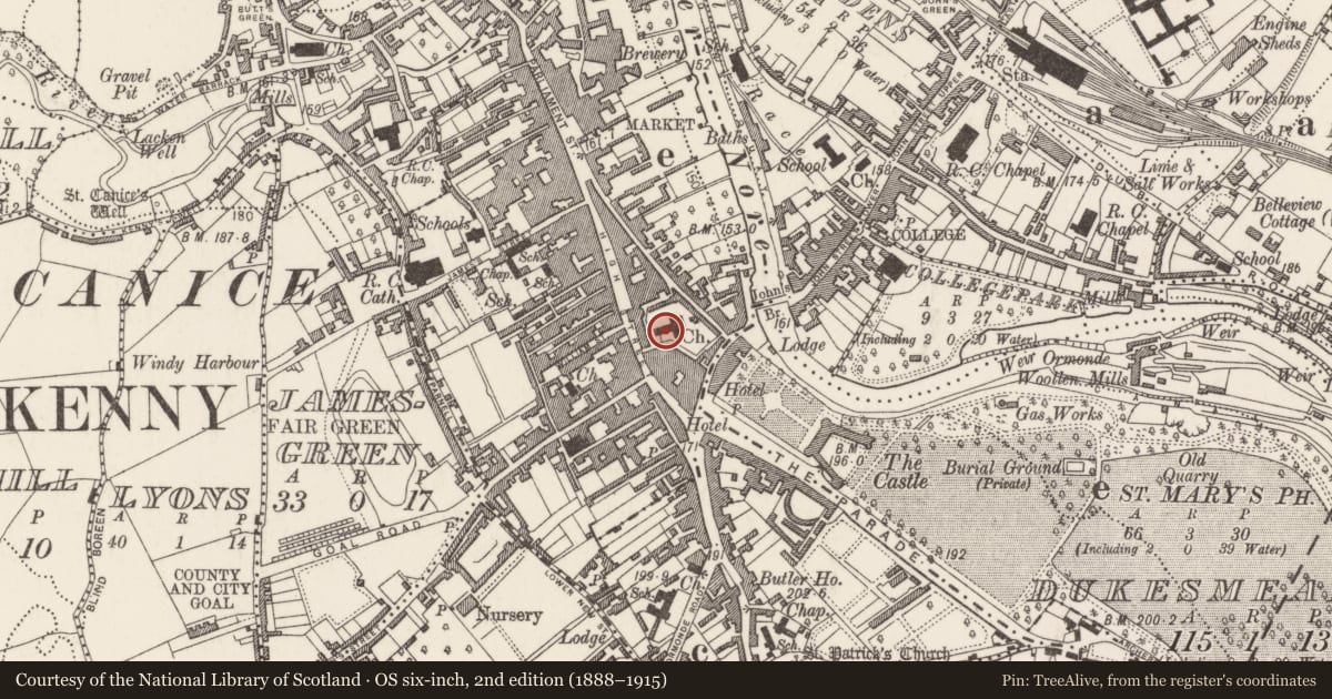 Ordnance Survey six-inch map, 2nd edition (1888–1915) covering the location of Graveslab, Gardens (Kilkenny City By., St. Mary’s Par.), County Kilkenny, with a pin at the register's coordinates