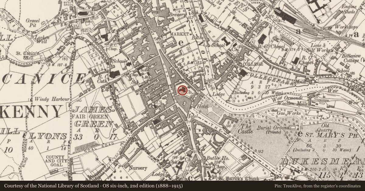 Ordnance Survey six-inch map, 2nd edition (1888–1915) covering the location of Sarcophagus, Gardens (Kilkenny City By., St. Mary’s Par.), County Kilkenny, with a pin at the register's coordinates