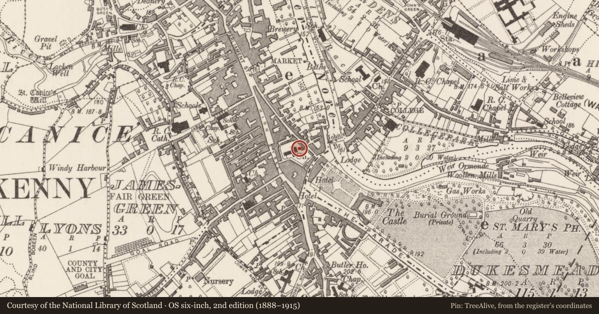 Ordnance Survey six-inch map, 2nd edition (1888–1915) covering the location of Sarcophagus, Gardens (Kilkenny City By., St. Mary’s Par.), County Kilkenny, with a pin at the register's coordinates