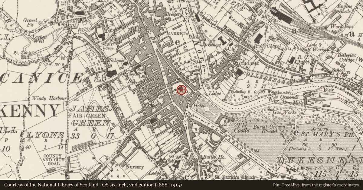Ordnance Survey six-inch map, 2nd edition (1888–1915) covering the location of Graveslab, Gardens (Kilkenny City By., St. Mary’s Par.), County Kilkenny, with a pin at the register's coordinates