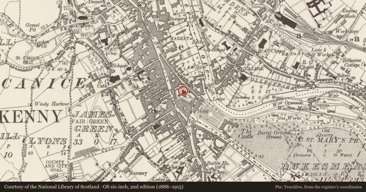 Ordnance Survey six-inch map, 2nd edition (1888–1915) covering the location of Tomb - chest tomb, Gardens (Kilkenny City By., St. Mary’s Par.), County Kilkenny, with a pin at the register's coordinates