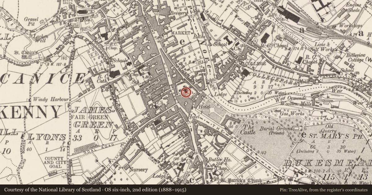 Ordnance Survey six-inch map, 2nd edition (1888–1915) covering the location of Tomb - chest tomb, Gardens (Kilkenny City By., St. Mary’s Par.), County Kilkenny, with a pin at the register's coordinates