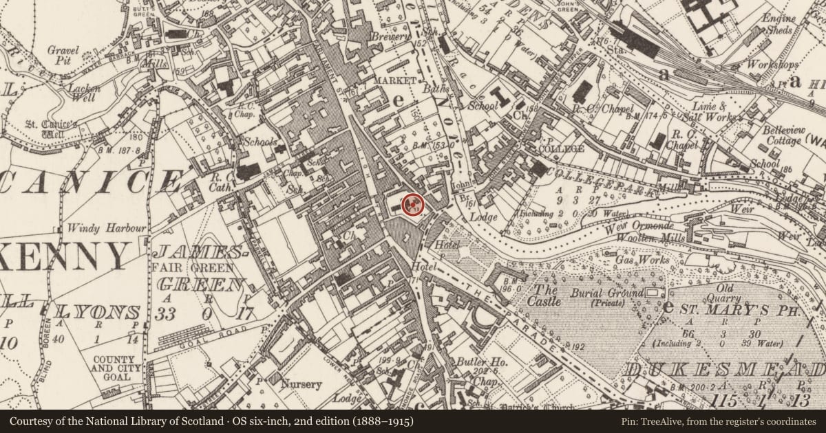 Ordnance Survey six-inch map, 2nd edition (1888–1915) covering the location of Wall monument, Gardens (Kilkenny City By., St. Mary’s Par.), County Kilkenny, with a pin at the register's coordinates