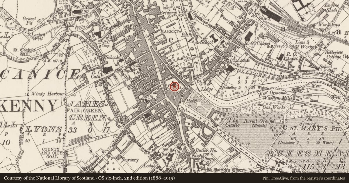 Ordnance Survey six-inch map, 2nd edition (1888–1915) covering the location of Tomb - chest tomb, Gardens (Kilkenny City By., St. Mary’s Par.), County Kilkenny, with a pin at the register's coordinates