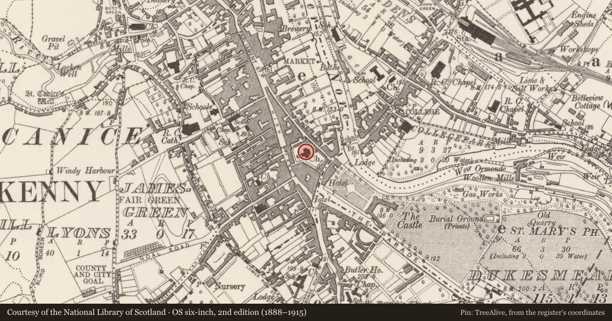 Ordnance Survey six-inch map, 2nd edition (1888–1915) covering the location of Graveslab, Gardens (Kilkenny City By., St. Mary’s Par.), County Kilkenny, with a pin at the register's coordinates