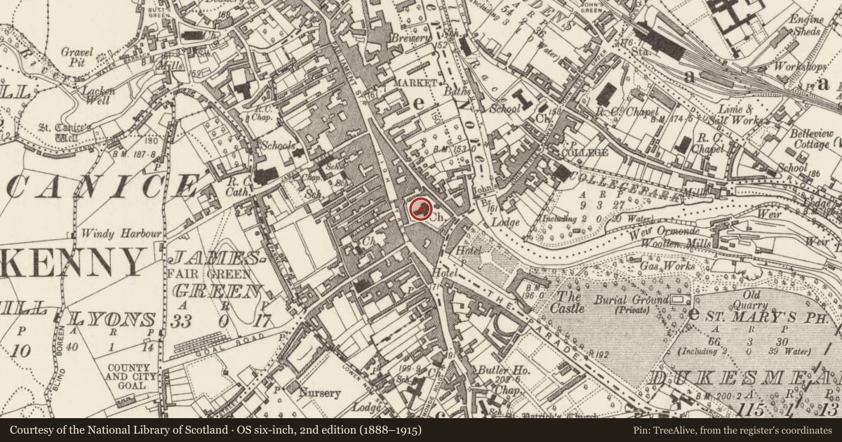Ordnance Survey six-inch map, 2nd edition (1888–1915) covering the location of Tomb - chest tomb, Gardens (Kilkenny City By., St. Mary’s Par.), County Kilkenny, with a pin at the register's coordinates