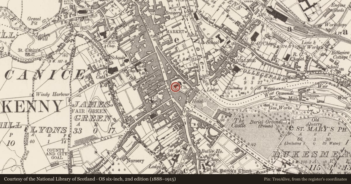 Ordnance Survey six-inch map, 2nd edition (1888–1915) covering the location of Tomb - chest tomb, Gardens (Kilkenny City By., St. Mary’s Par.), County Kilkenny, with a pin at the register's coordinates