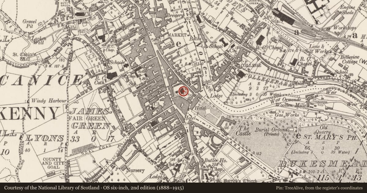 Ordnance Survey six-inch map, 2nd edition (1888–1915) covering the location of Tomb - chest tomb, Gardens (Kilkenny City By., St. Mary’s Par.), County Kilkenny, with a pin at the register's coordinates