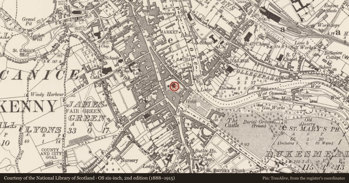 Ordnance Survey six-inch map, 2nd edition (1888–1915) covering the location of Tomb - chest tomb, Gardens (Kilkenny City By., St. Mary’s Par.), County Kilkenny, with a pin at the register's coordinates