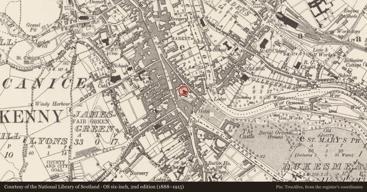 Ordnance Survey six-inch map, 2nd edition (1888–1915) covering the location of Tomb - chest tomb, Gardens (Kilkenny City By., St. Mary’s Par.), County Kilkenny, with a pin at the register's coordinates