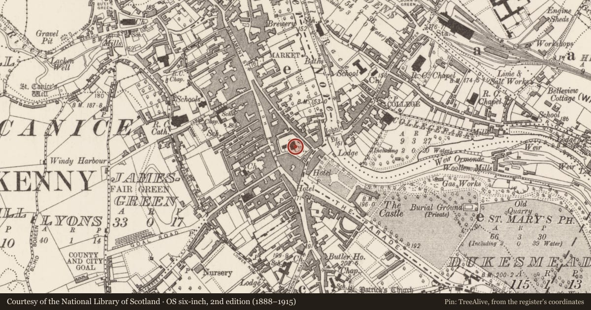 Ordnance Survey six-inch map, 2nd edition (1888–1915) covering the location of Wall monument, Gardens (Kilkenny City By., St. Mary’s Par.), County Kilkenny, with a pin at the register's coordinates