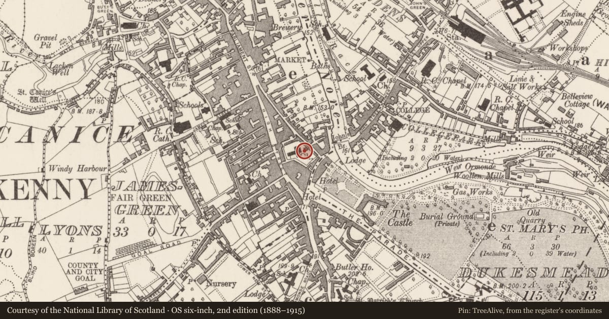 Ordnance Survey six-inch map, 2nd edition (1888–1915) covering the location of Wall monument, Gardens (Kilkenny City By., St. Mary’s Par.), County Kilkenny, with a pin at the register's coordinates