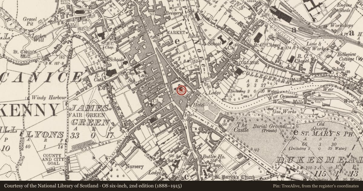 Ordnance Survey six-inch map, 2nd edition (1888–1915) covering the location of Wall monument, Gardens (Kilkenny City By., St. Mary’s Par.), County Kilkenny, with a pin at the register's coordinates
