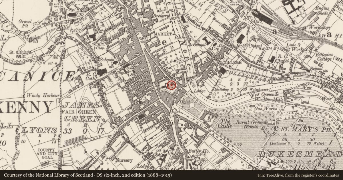 Ordnance Survey six-inch map, 2nd edition (1888–1915) covering the location of Wall monument, Gardens (Kilkenny City By., St. Mary’s Par.), County Kilkenny, with a pin at the register's coordinates