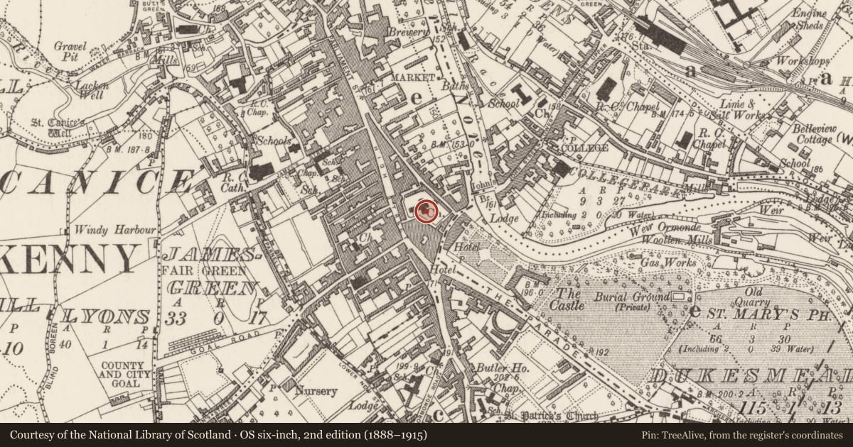 Ordnance Survey six-inch map, 2nd edition (1888–1915) covering the location of Wall monument, Gardens (Kilkenny City By., St. Mary’s Par.), County Kilkenny, with a pin at the register's coordinates