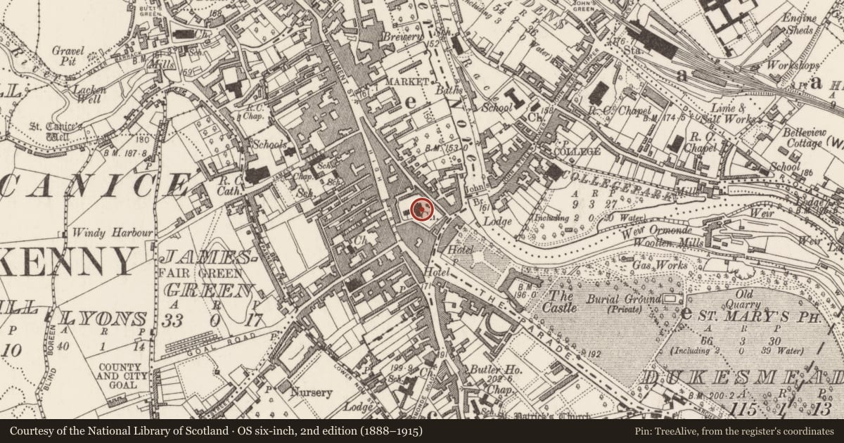 Ordnance Survey six-inch map, 2nd edition (1888–1915) covering the location of Wall monument, Gardens (Kilkenny City By., St. Mary’s Par.), County Kilkenny, with a pin at the register's coordinates