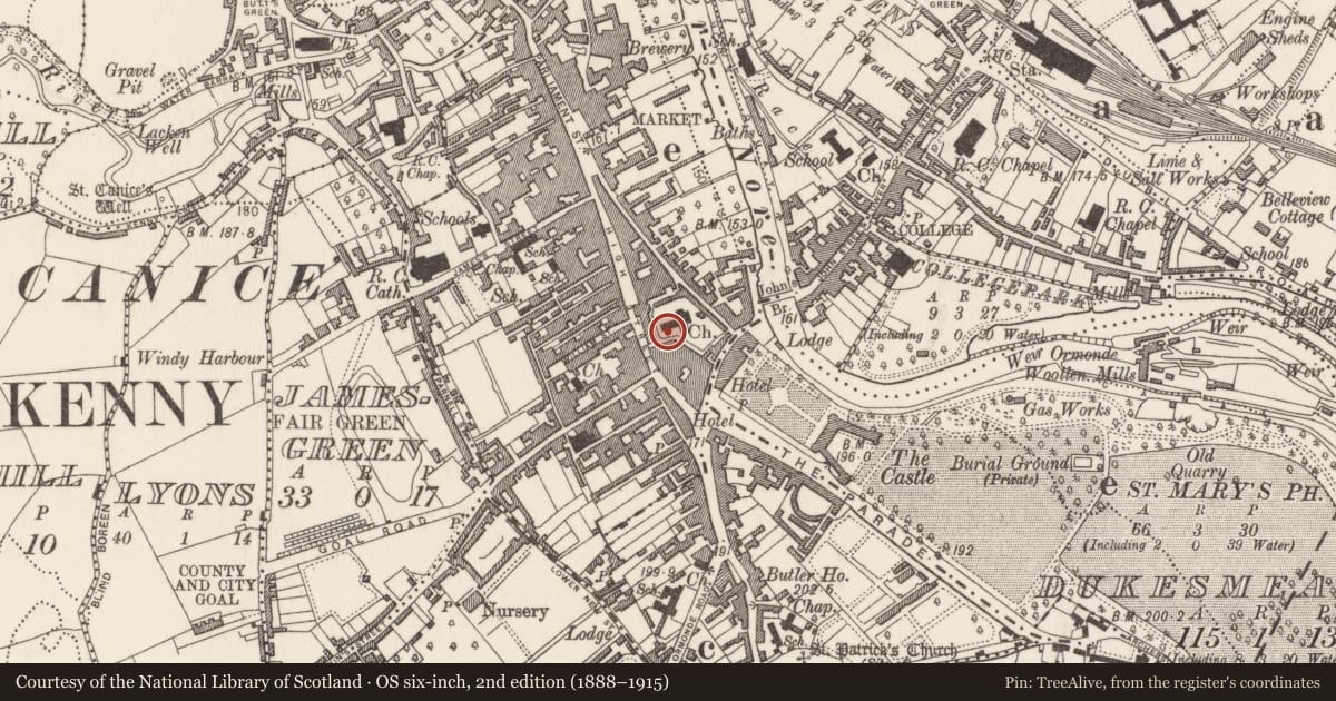 Ordnance Survey six-inch map, 2nd edition (1888–1915) covering the location of Wall monument, Gardens (Kilkenny City By., St. Mary’s Par.), County Kilkenny, with a pin at the register's coordinates