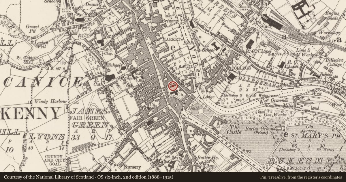 Ordnance Survey six-inch map, 2nd edition (1888–1915) covering the location of Wall monument, Gardens (Kilkenny City By., St. Mary’s Par.), County Kilkenny, with a pin at the register's coordinates