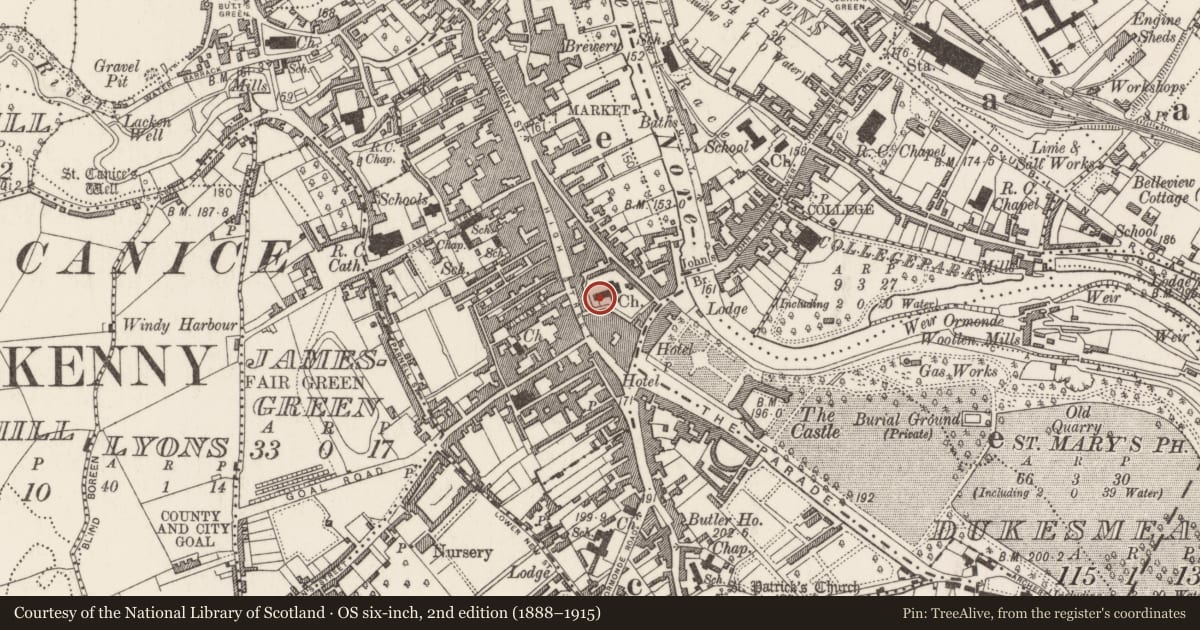 Ordnance Survey six-inch map, 2nd edition (1888–1915) covering the location of Tomb - chest tomb, Gardens (Kilkenny City By., St. Mary’s Par.), County Kilkenny, with a pin at the register's coordinates