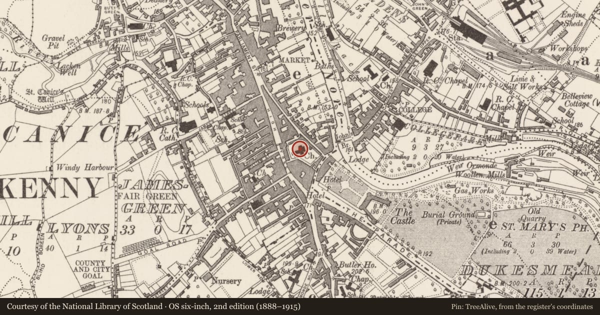 Ordnance Survey six-inch map, 2nd edition (1888–1915) covering the location of Graveslab, Gardens (Kilkenny City By., St. Mary’s Par.), County Kilkenny, with a pin at the register's coordinates