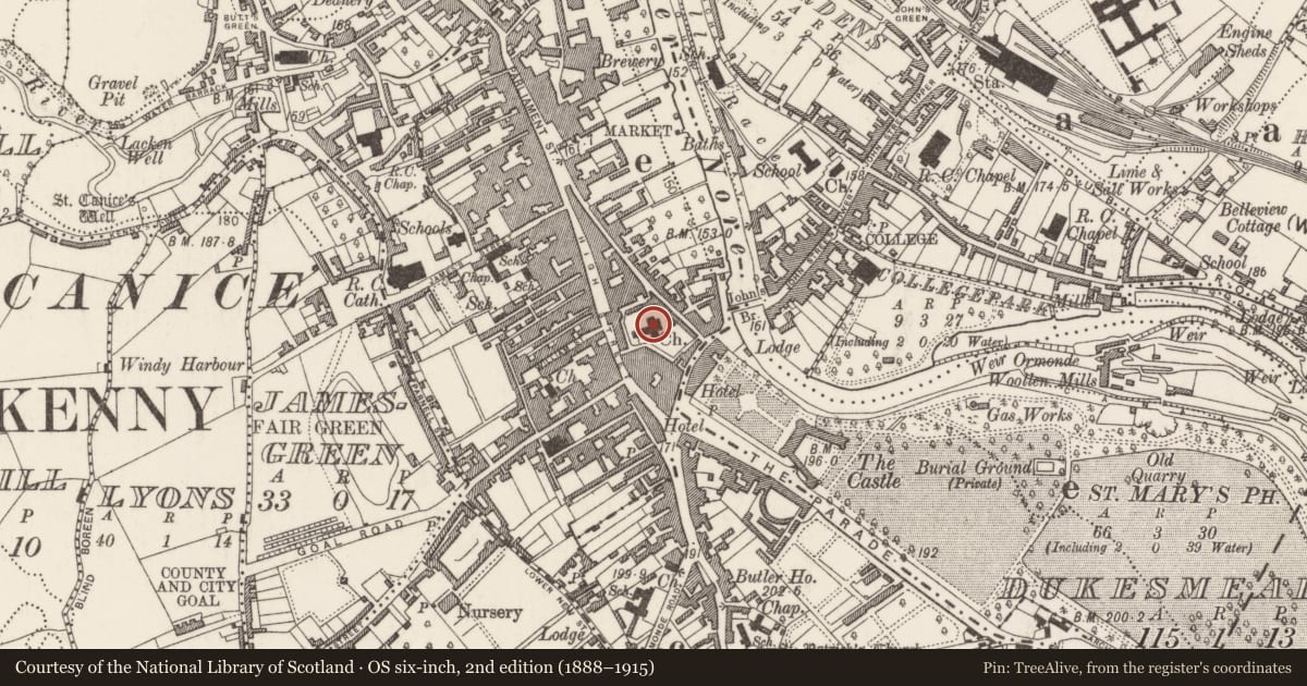 Ordnance Survey six-inch map, 2nd edition (1888–1915) covering the location of Graveslab, Gardens (Kilkenny City By., St. Mary’s Par.), County Kilkenny, with a pin at the register's coordinates