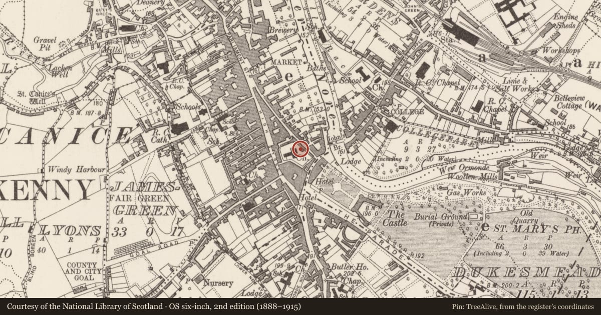 Ordnance Survey six-inch map, 2nd edition (1888–1915) covering the location of Headstone, Gardens (Kilkenny City By., St. Mary’s Par.), County Kilkenny, with a pin at the register's coordinates