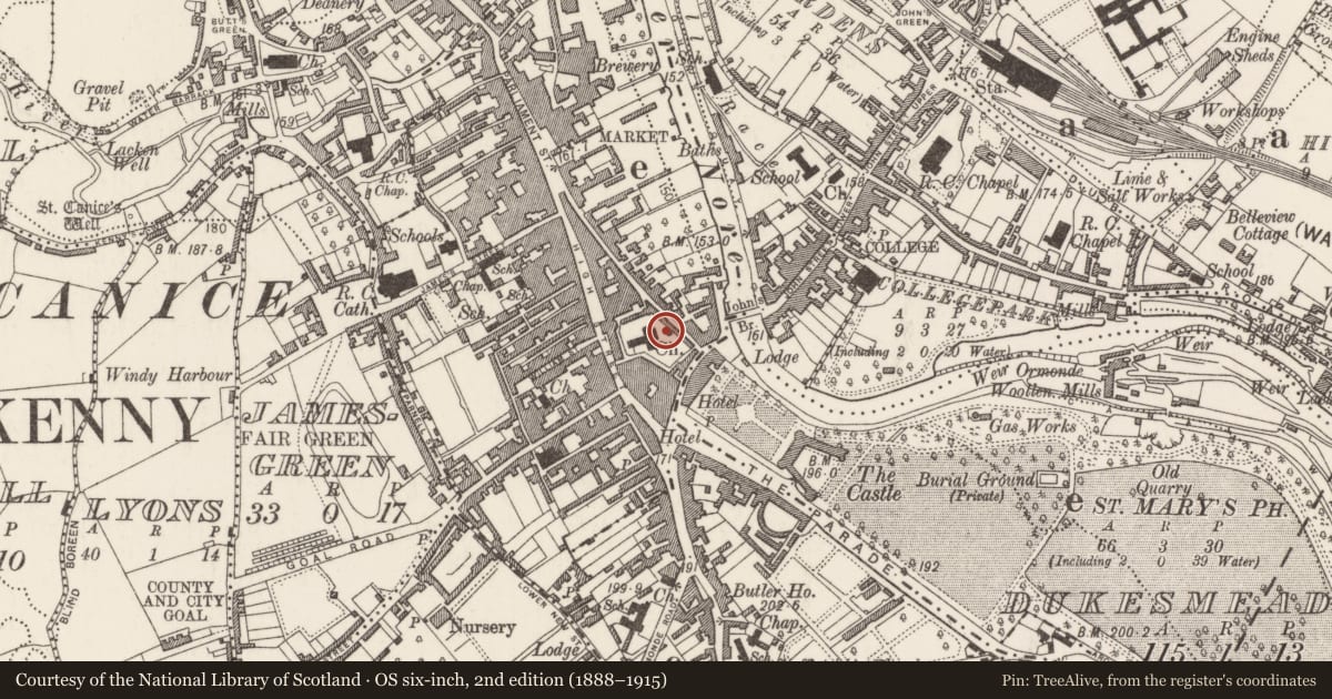 Ordnance Survey six-inch map, 2nd edition (1888–1915) covering the location of Wall monument, Gardens (Kilkenny City By., St. Mary’s Par.), County Kilkenny, with a pin at the register's coordinates