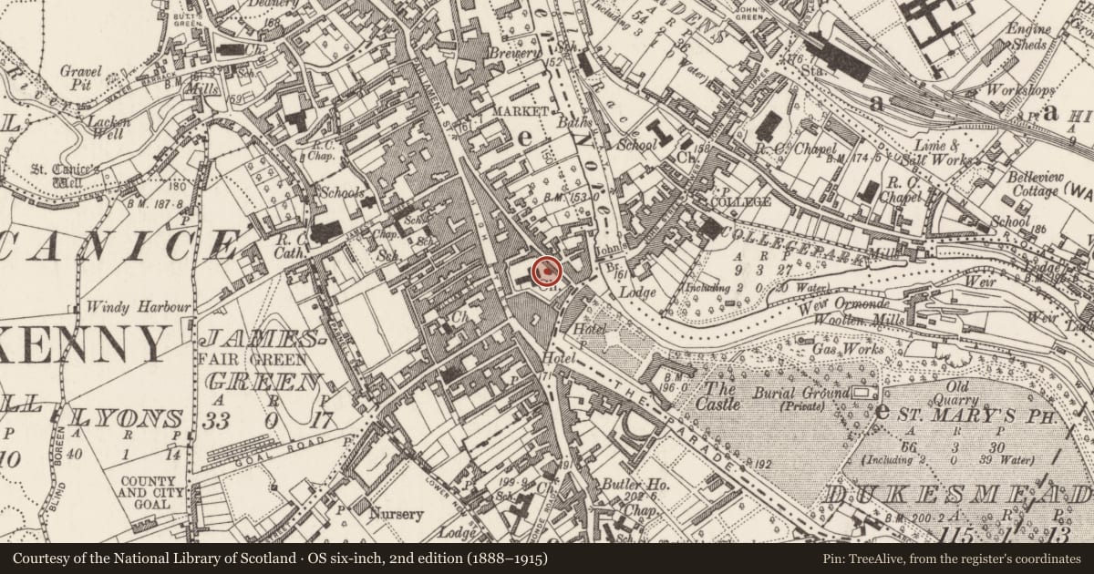 Ordnance Survey six-inch map, 2nd edition (1888–1915) covering the location of Tomb - chest tomb, Gardens (Kilkenny City By., St. Mary’s Par.), County Kilkenny, with a pin at the register's coordinates
