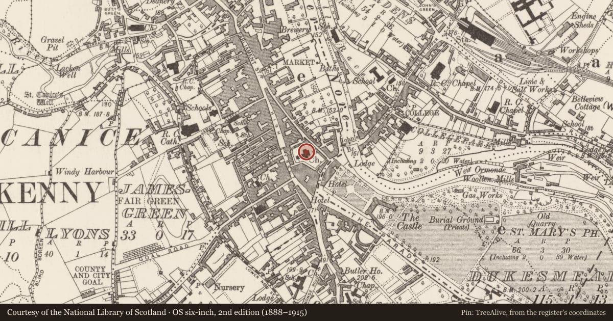 Ordnance Survey six-inch map, 2nd edition (1888–1915) covering the location of Wall monument, Gardens (Kilkenny City By., St. Mary’s Par.), County Kilkenny, with a pin at the register's coordinates