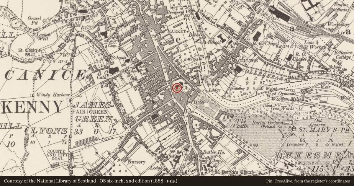 Ordnance Survey six-inch map, 2nd edition (1888–1915) covering the location of Wall monument, Gardens (Kilkenny City By., St. Mary’s Par.), County Kilkenny, with a pin at the register's coordinates