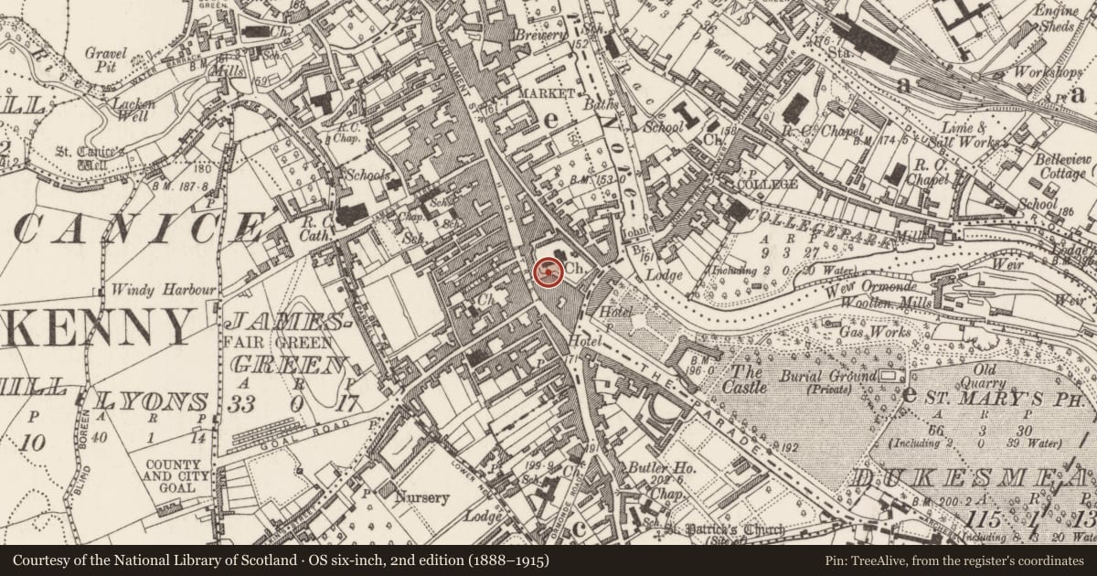 Ordnance Survey six-inch map, 2nd edition (1888–1915) covering the location of Tomb - chest tomb, Gardens (Kilkenny City By., St. Mary’s Par.), County Kilkenny, with a pin at the register's coordinates