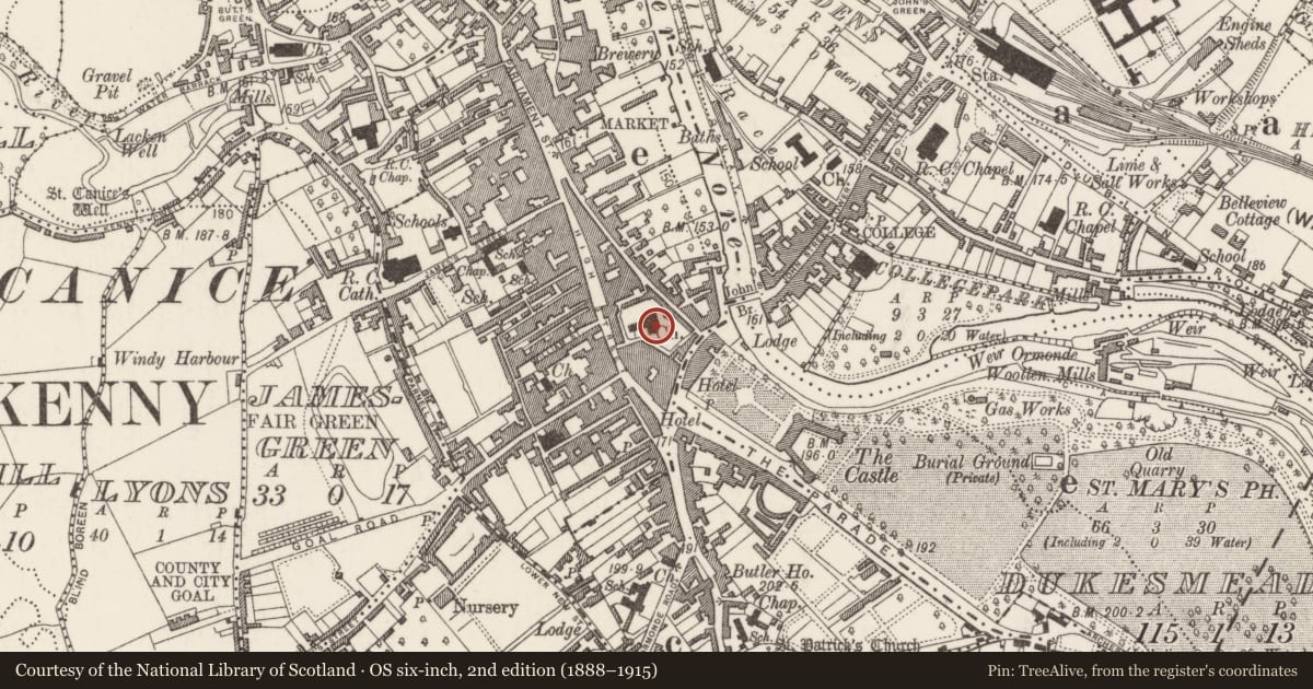 Ordnance Survey six-inch map, 2nd edition (1888–1915) covering the location of Crucifixion plaque, Gardens (Kilkenny City By., St. Mary’s Par.), County Kilkenny, with a pin at the register's coordinates